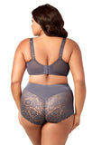 Stretch Lace Cheeky Panty